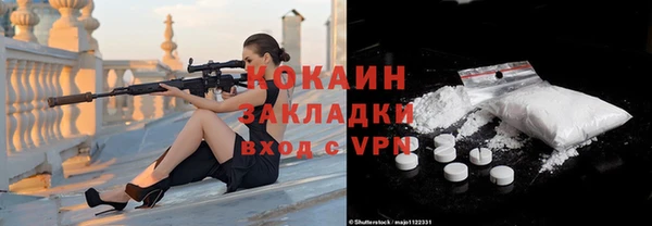 дурь Пересвет