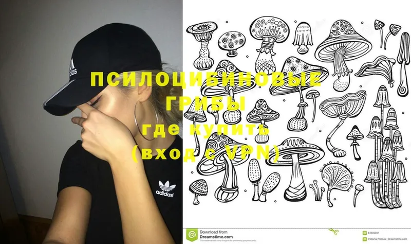 Псилоцибиновые грибы Magic Shrooms  Белогорск 