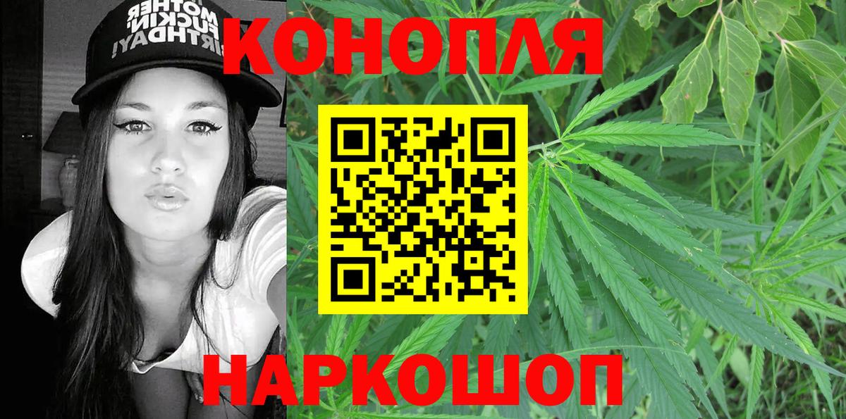 Бошки Шишки OG Kush  Каннабис план  Бошки Шишки индика  Канабис THC 21%  Белогорск 